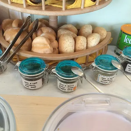 酒店 洛坎达俄索洛加尼酒店 3*