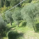 Ruscello Garni Hotel Limone sul Garda