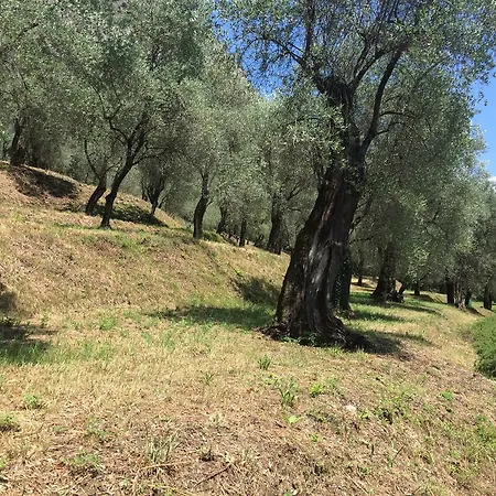 Hotel Locanda Ruscello Garni